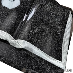 Книга арт.1609